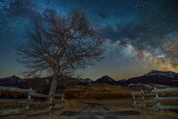 On Guard Under the Big Sky
