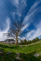 Light and Shadows on Black Butte