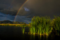 Rainbows