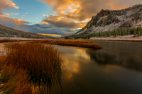 Yellowstone and Grand Teton